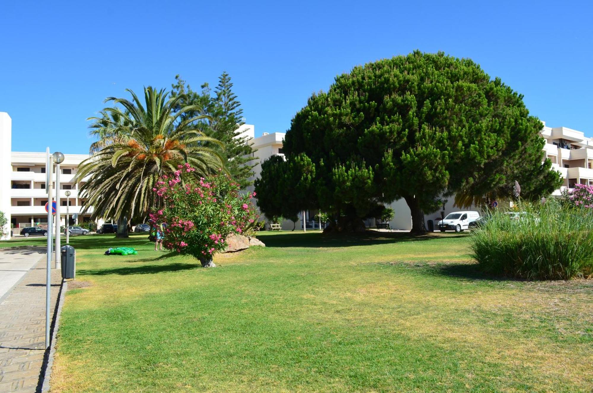 Above The Beach, 10 Min From The City Center - Casa Da Tartaruga Lagos Extérieur photo